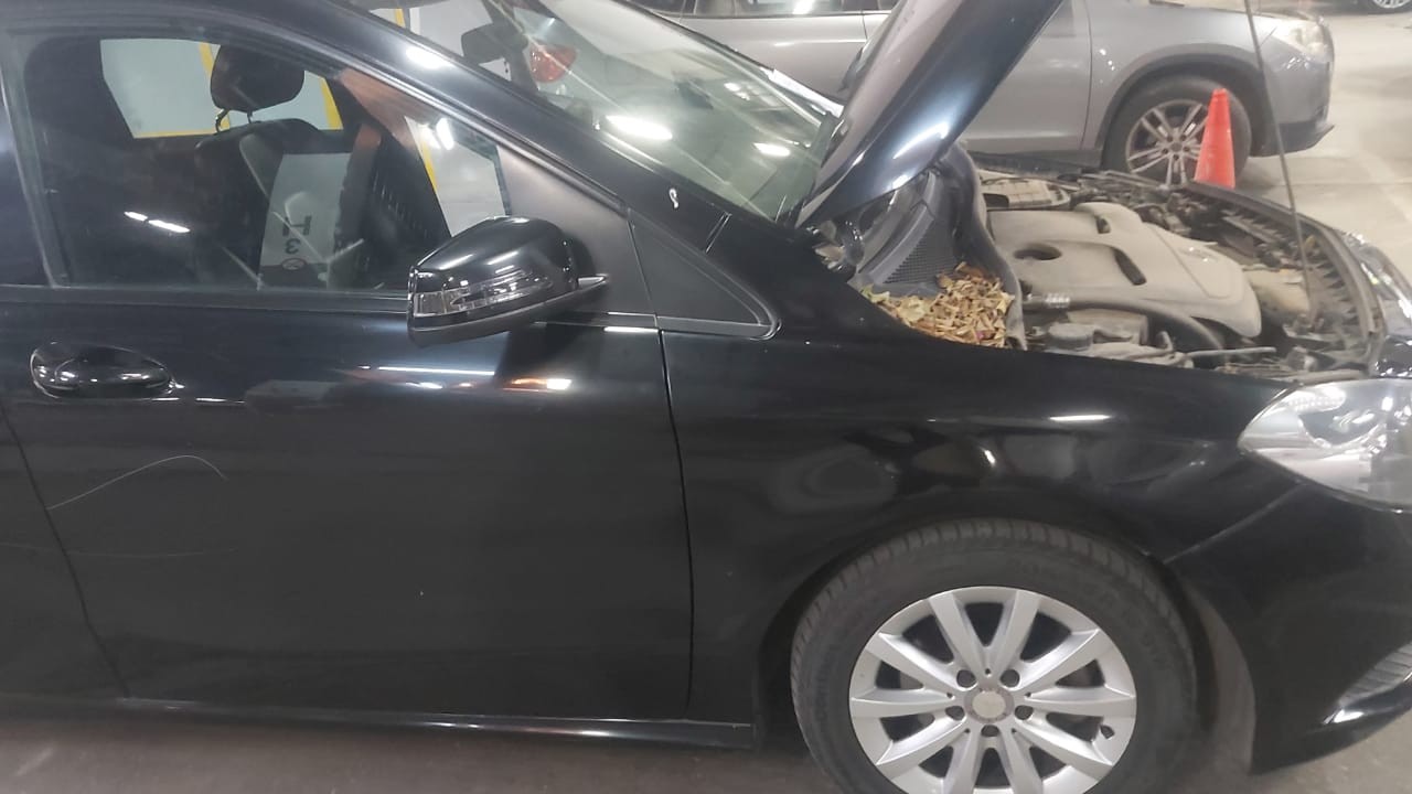 مرسيدس B 150 الاولي مرسيدس B 150 الاولي