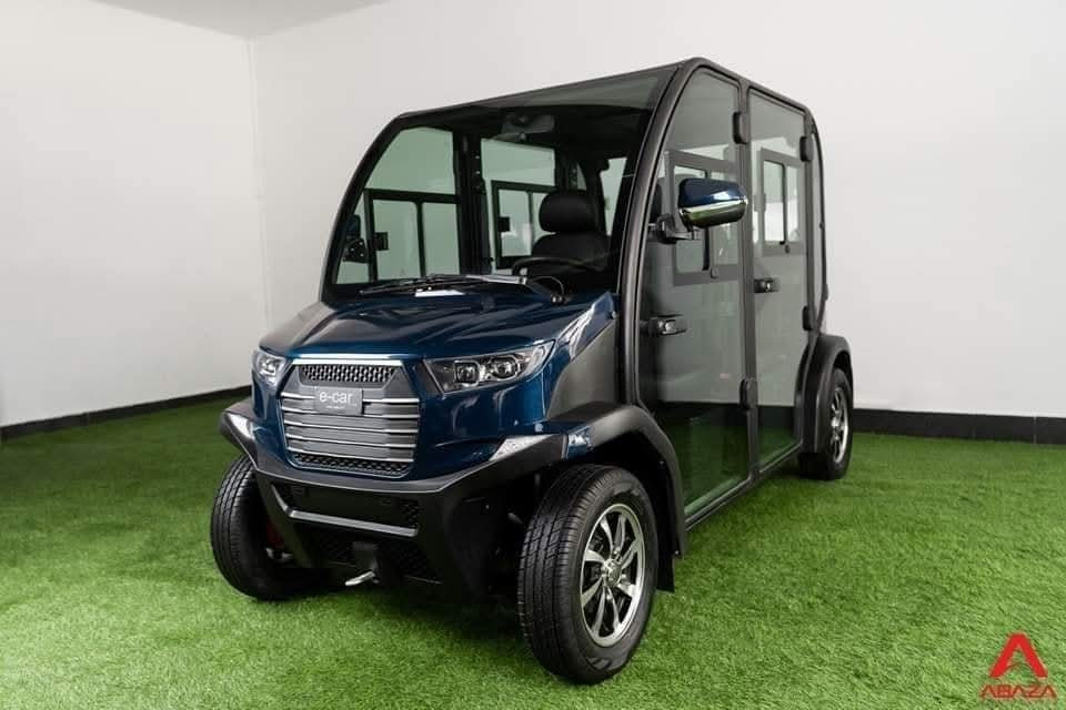 E.car local  Battary